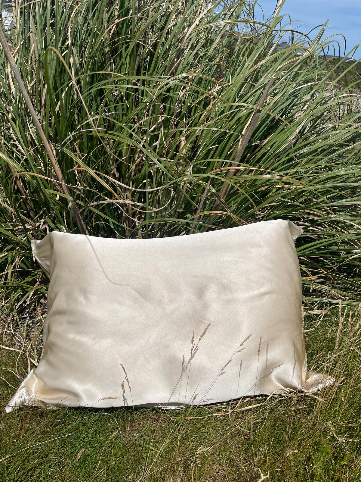 Silk Pillowcase