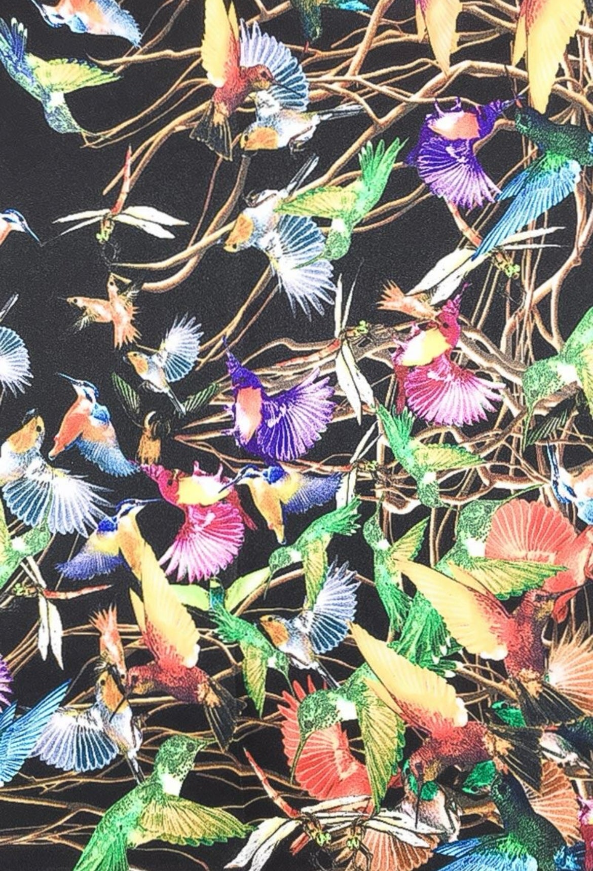 Multi Bird Print Silk Scarf
