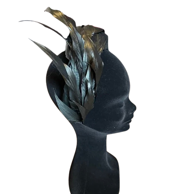 Black feather crown